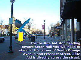 Shufly virtual tour. Image highlights shufly stop (Rite Aid: heading towards campus).