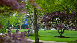 Image of student walking across campus green. 