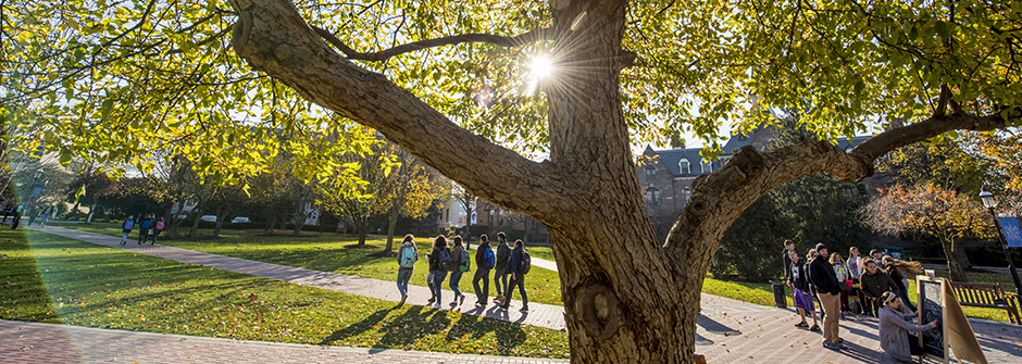 A photo of the sun peaking through a tree above students on the University Green.