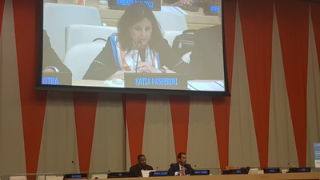 Dr. Katia Passerini Speaks at the United Nations 