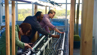 Daniel Piatek, Ph.D. candidate Sauvelson Auguste, and Professor Mary Berger working on their plants.