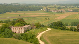 Tuscan landscape. 